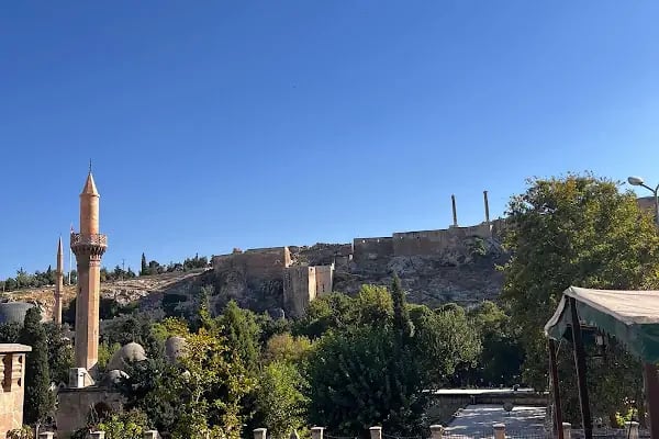 Çardaklı Köşk Sıra Geceleri ve Restaurant - Resim 12
