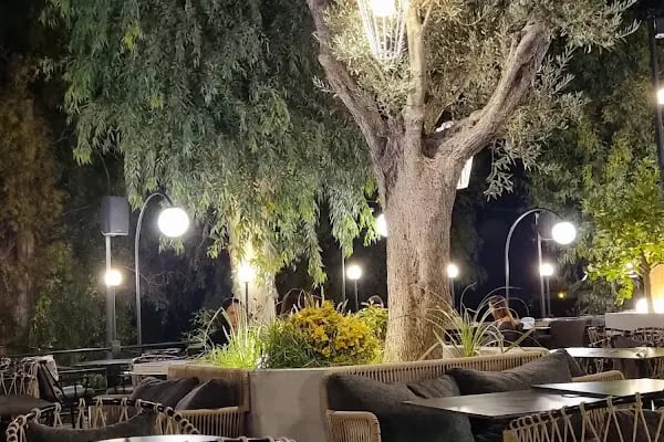Mojo Cafe - Resim 5