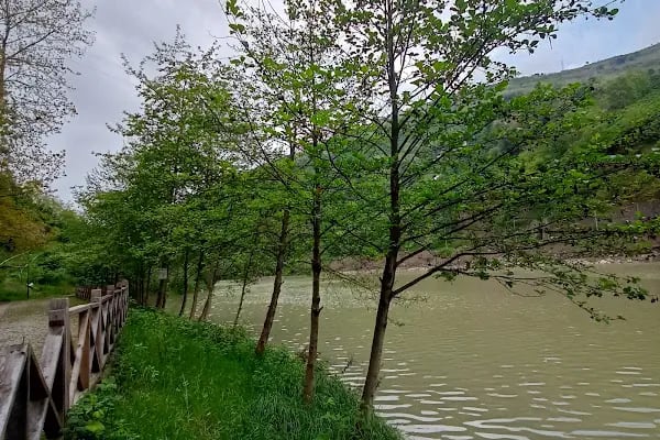 Sera Gölü Sosyal Tesisleri - Resim 16
