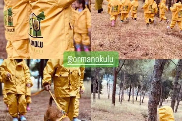 Toprak Anaokulu - Resim 13