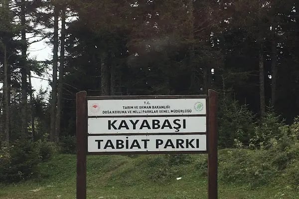 HAÇKALI HOCA BABA TÜRBESİ - Resim 13
