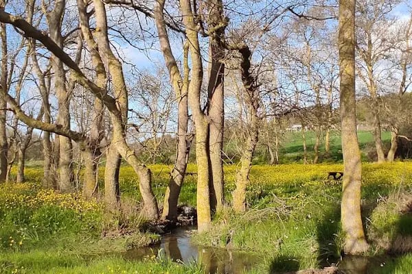 Dursunköy Mahallesi Muhtarlığı - Resim 6