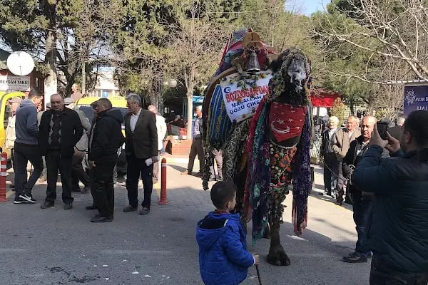 Bozdoğan Belediyesi Ömer Savaş Deve Güreşi Arenası - Resim 5