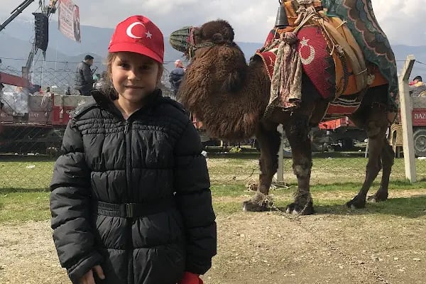 Bozdoğan Belediyesi Ömer Savaş Deve Güreşi Arenası - Resim 9