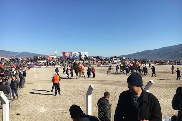 Bozdoğan Belediyesi Ömer Savaş Deve Güreşi Arenası - Resim 15
