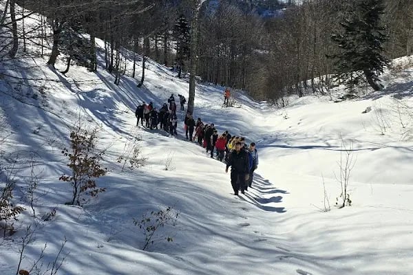 Molla yakup çayırı - Resim 17