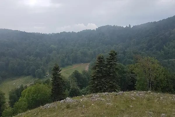 Molla yakup çayırı - Resim 20
