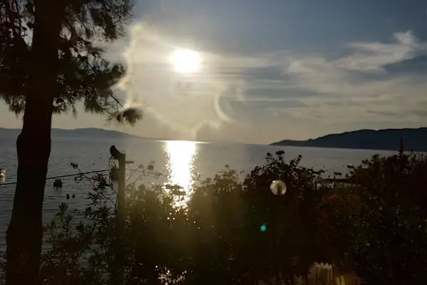 Alyüz Sitesi - Resim 17