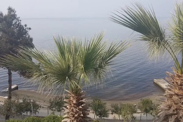 Alyüz Sitesi - Resim 9