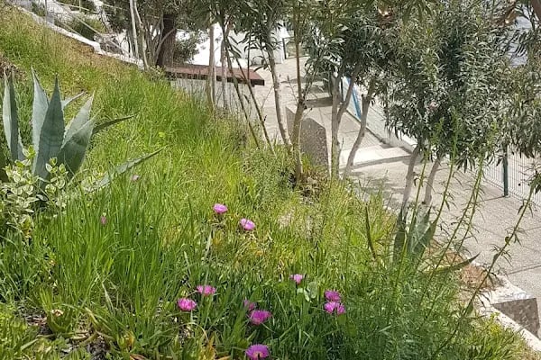 Alyüz Sitesi - Resim 7