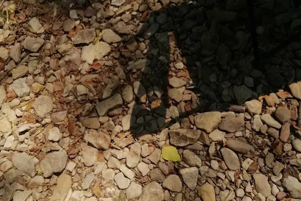 Su ürünleri kooperatif sosyal tesisler - Resim 13