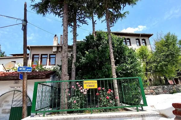 İskender Sultan Türbesi - Resim 10