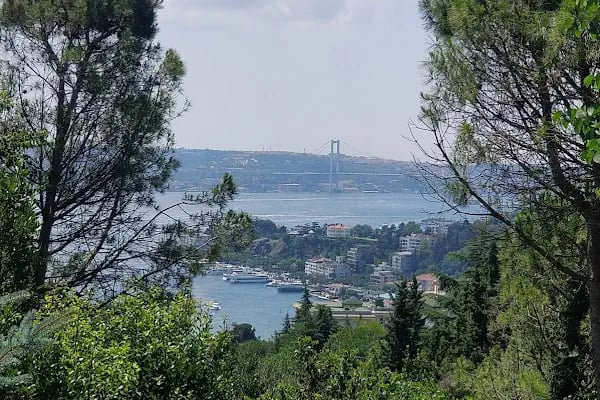 Boğaziçi Üniversitesi - Resim 5