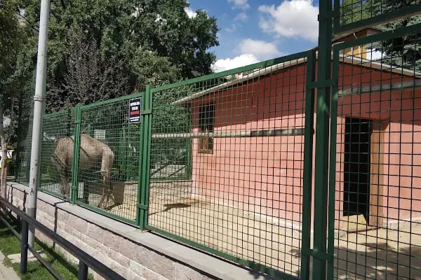 Evcil Hayvanlar Parkı - Resim 3