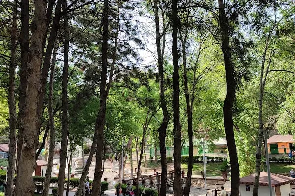 Evcil Hayvanlar Parkı - Resim 17