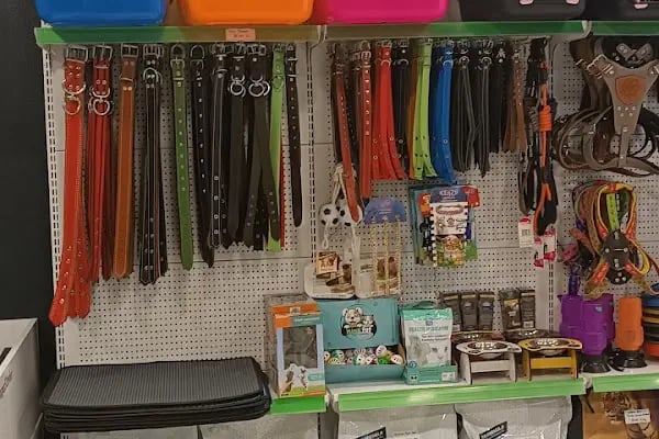 52 Evler Balıkesir Petshop - Resim 6