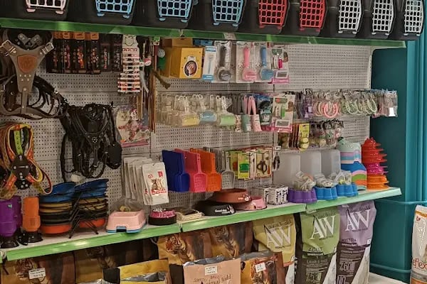 52 Evler Balıkesir Petshop - Resim 3