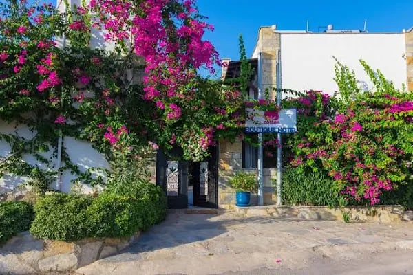 Cotton boutique Hotel - Resim 7