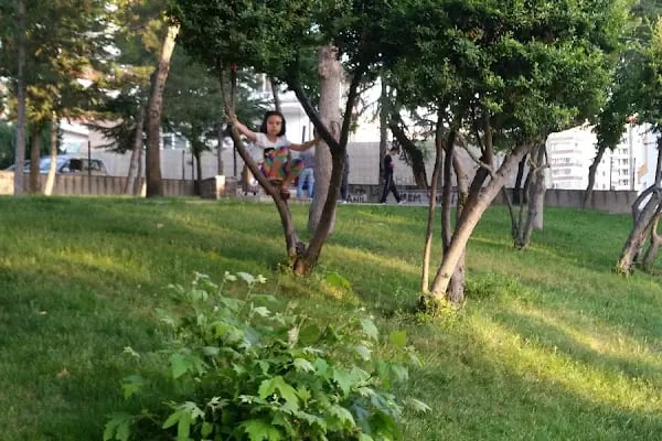 Altindağ Belediyesi Yunus Emre Parkı - Resim 12