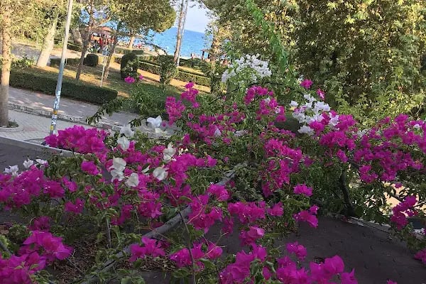 Hotel Esya - Resim 11
