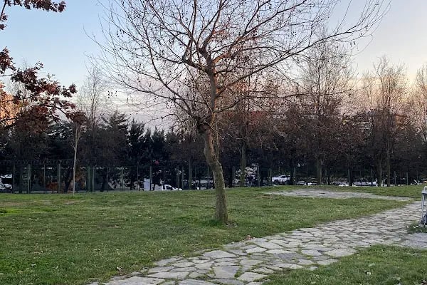 42 EVLER PARKI - Resim 17