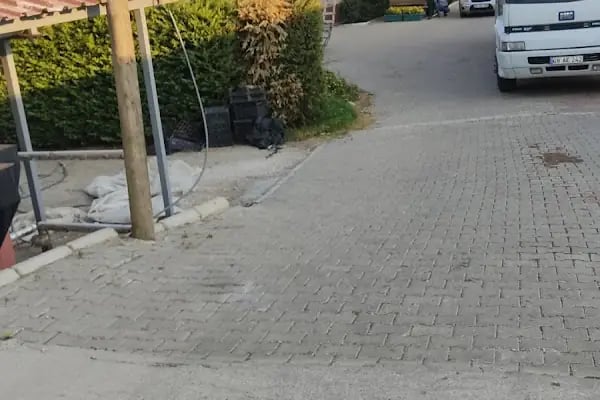 FLORA SÜS BİTKİLERİ - Resim 12