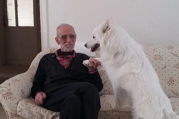 Mehmetcik Parkı - Resim 19