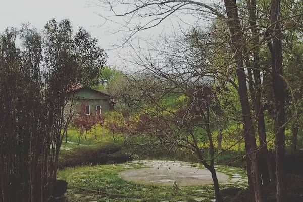 durusu hotel kamp - Resim 4