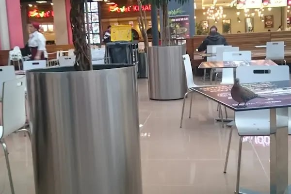 Paribu Cineverse Gebze Center - Resim 8