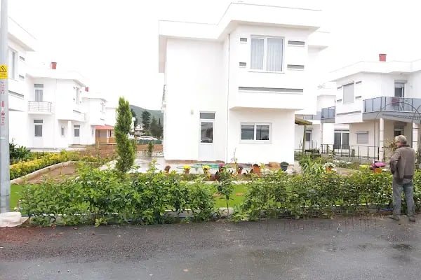 Yılmaz fidancılık (yılmaz peyzaj) izmir/bayındır - Resim 17
