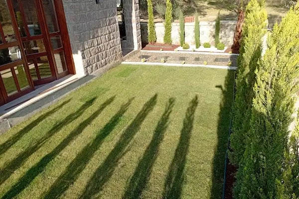 Yılmaz fidancılık (yılmaz peyzaj) izmir/bayındır - Resim 10