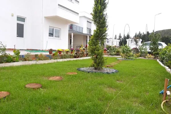 Yılmaz fidancılık (yılmaz peyzaj) izmir/bayındır - Resim 14