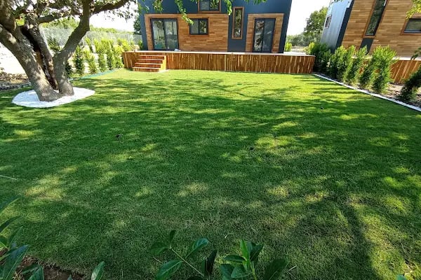 Yılmaz fidancılık (yılmaz peyzaj) izmir/bayındır - Resim 13