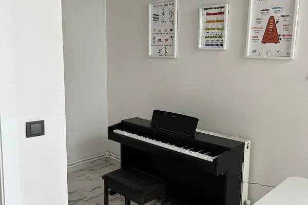 Nova Sanat | Trabzon/Beşirli Müzik Kursu - Resim 6