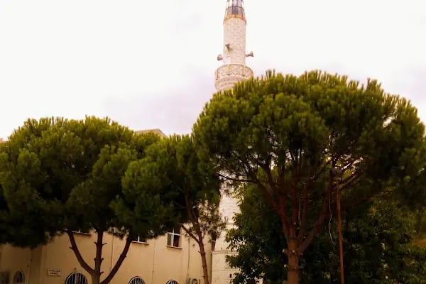 Sultan Cami - Resim 5