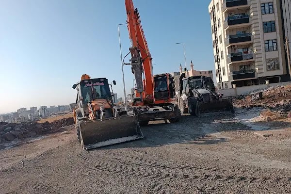Özgül Harfiat Mehmet Gül - Resim 2