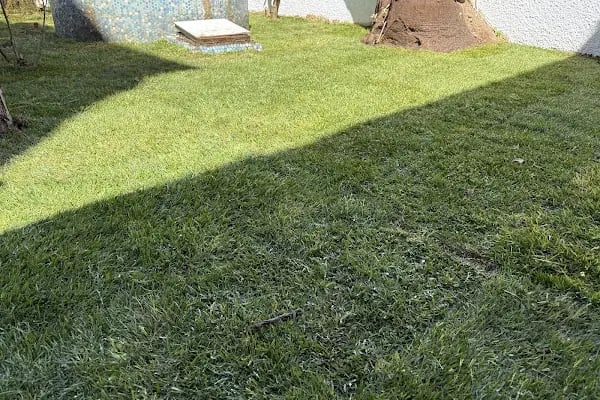 Cennet Çiçekcilik Peyzaj ve Süs Bitkileri - Resim 3