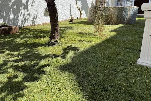 Cennet Çiçekcilik Peyzaj ve Süs Bitkileri - Resim 5