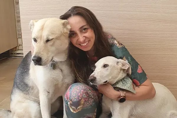 PatiSev Veteriner Kliniği - Resim 13