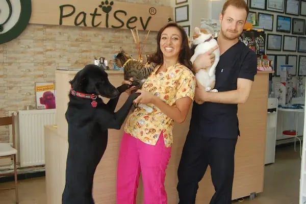 PatiSev Veteriner Kliniği - Resim 8