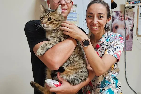 PatiSev Veteriner Kliniği - Resim 20