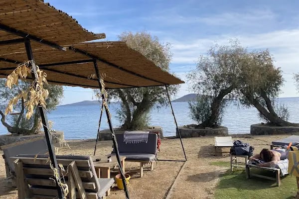 Pab Bodrum - Resim 2