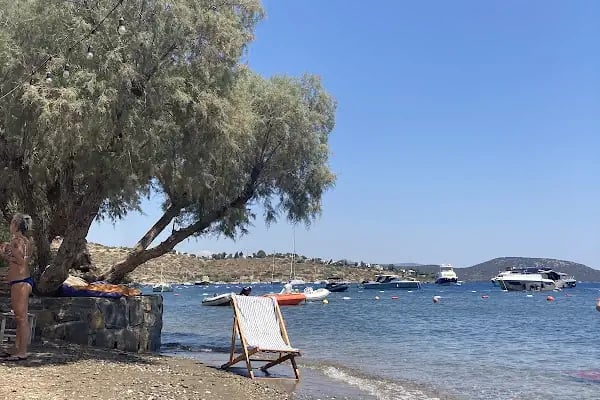 Pab Bodrum - Resim 7