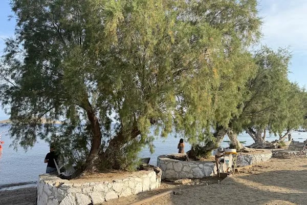 Pab Bodrum - Resim 4