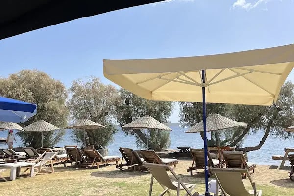 Pab Bodrum - Resim 10