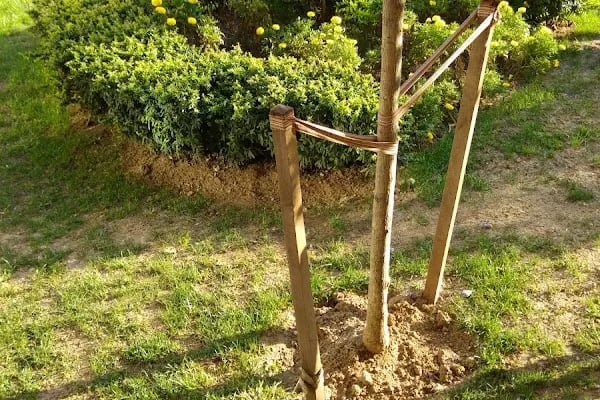 Tabya Çocuk Parkı - Resim 16