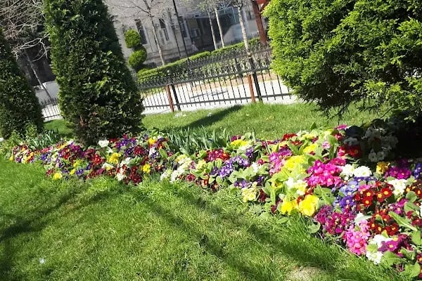 Tabya Çocuk Parkı - Resim 13