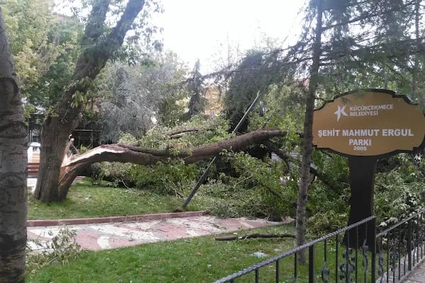 Şehit Mahmut Ergül Parkı - Resim 20