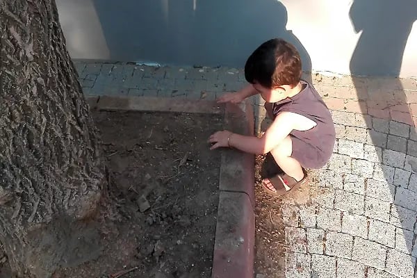 Şehit Mahmut Ergül Parkı - Resim 10
