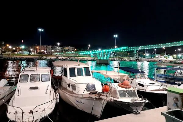 ALIAGA MARINA VE ÇEK EK YERİ - Resim 14